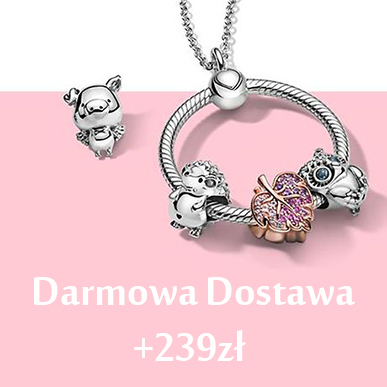 Darmowa Dostawa